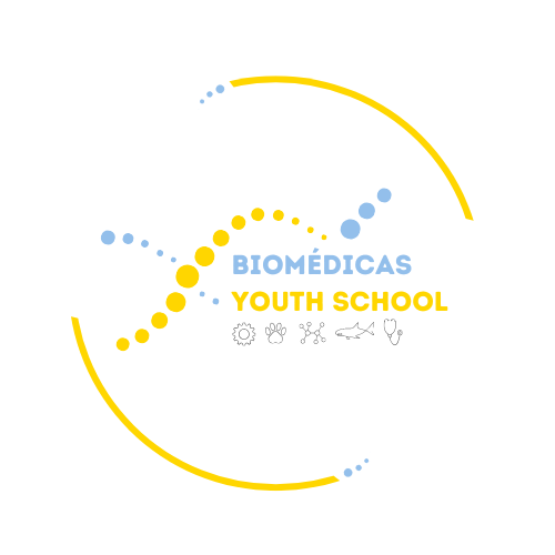 Ícones e-mails + grupos wpp + Foto de perfil